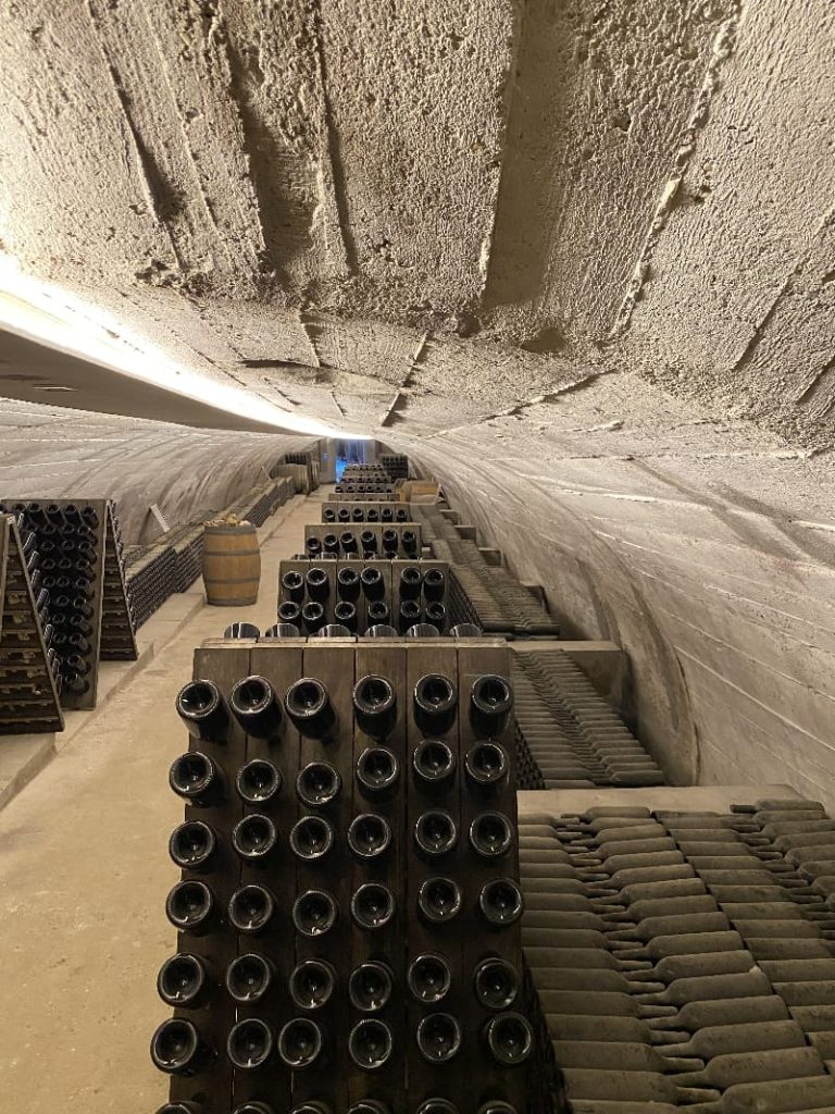 colli euganei degustazione