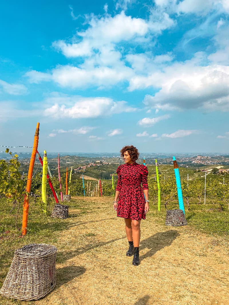 Vigna dei Pastelli langhe 