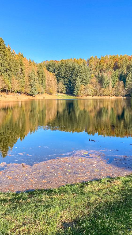 foliage piemonte