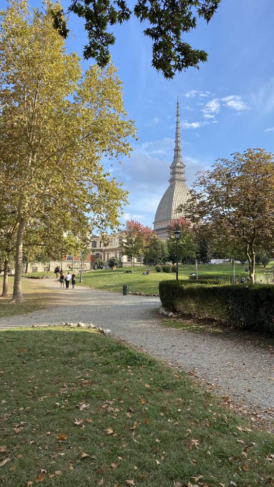 foliage torino