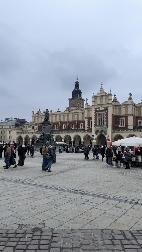 cracovia cosa vedere