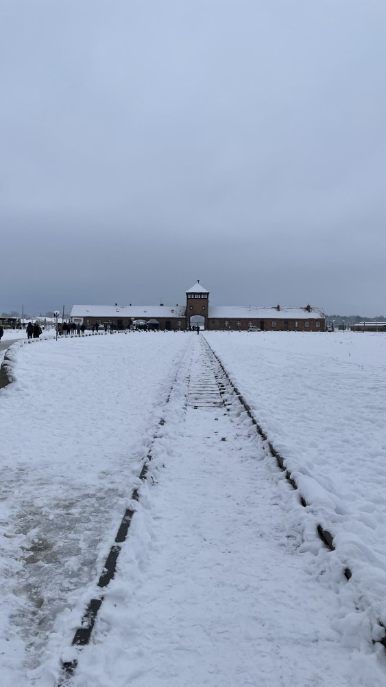 cracovia escursione auschwitz
