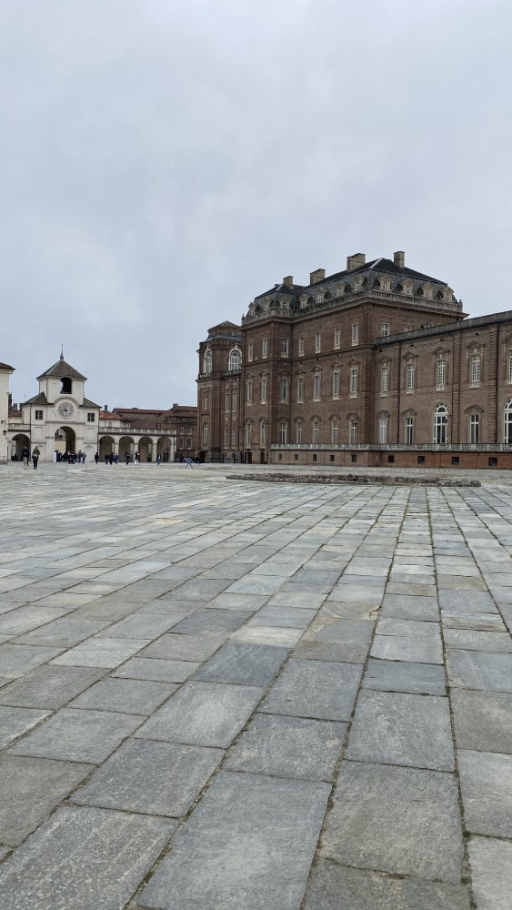 reggia di venaria fioritura ciliegi